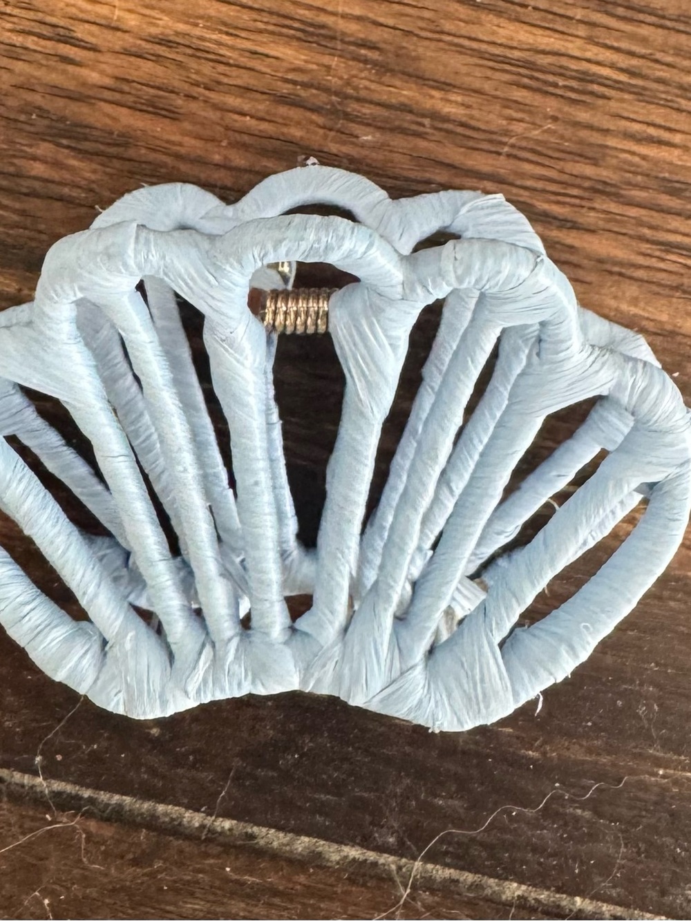 J. Crew Seashell Hair Clips